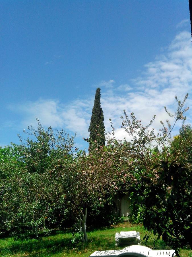 Бестужевский Дворик Γκάγκρα Εξωτερικό φωτογραφία